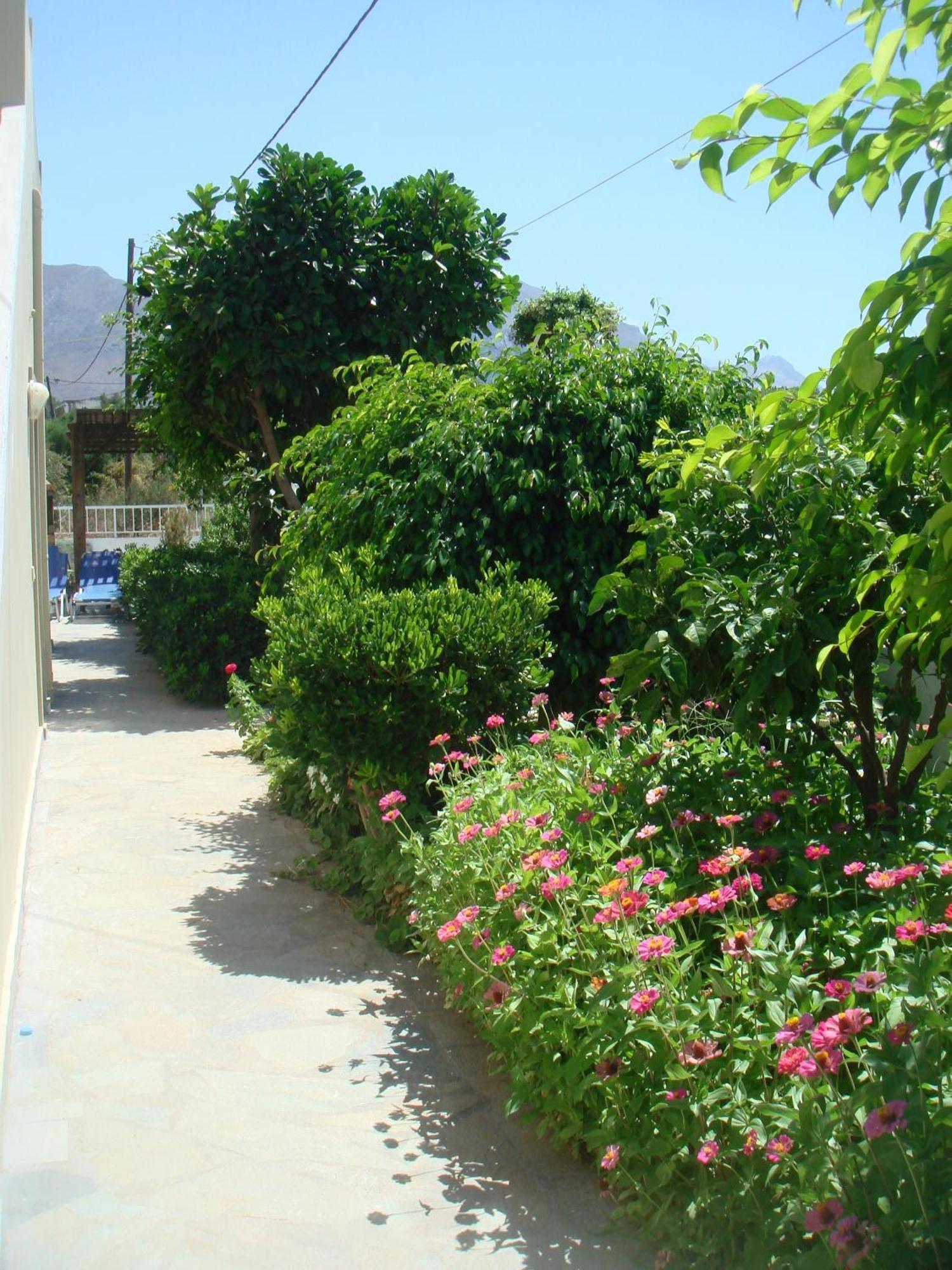 To Livadi Daire Lefkogeia Dış mekan fotoğraf